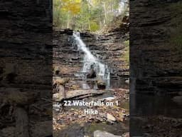 FL Ricketts is a 38’ foot tall waterfall on Ricketts Glen State Park’s Falls Trail Hike.