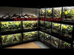 Custom Dart Frog Rack, and 300 Gallon Mini Update!!