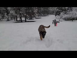 Snow much fun! ❄️☃️😊