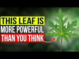 Why No One Talks About This Leaf… The Health Benefits Are MIND-BLOWING!