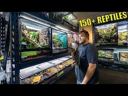 REPTILE ROOM TOUR November 2024! 150+ PET reptiles!