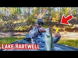 HAD TO DITCH LIVESCOPE AND FISH SHALLOW! (Lake Hartwell Tournament)