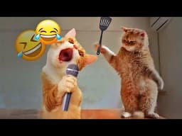 Best Funniest Animal Videos 2024😪🐶Funny Dogs And Cats Videos Of The year😻