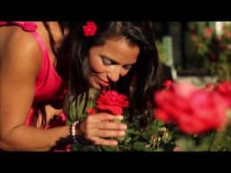 Stop & Smell the Roses: Julie Taboulie's Lebanese Kitchen ~ Public TV Series Episode 106