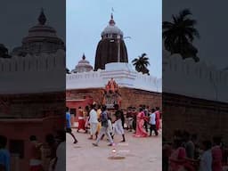 ଶ୍ରୀମନ୍ଦିରରେ ଫଗୁ ଦଶମୀ | Phagu Dashami in Puri Jaganath temple #shorts #youtubeshorts