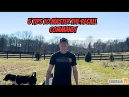 5 Tips to Teach a Perfect Recall With Your Dog!