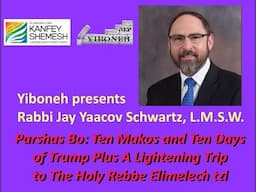 Parshas Bo: Ten Makos and Ten Days of Trump  Plus A Lightening Trip to The Holy Rebbe Elimelech tzl