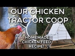 Our Chicken Tractor Coop and Homemade Chicken Feed Recipe