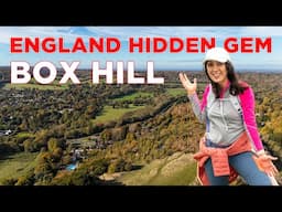 Box Hill Walk: A Perfect Day Trip from London