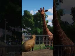 this is an outrage #planetzoo #gaming