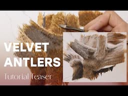 How to Paint Deer Antlers