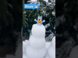 Bluey in the snow!!! ❄️ ⛄️ #bluey