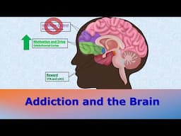 How Does Addiction Affect the Brain?