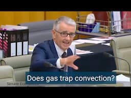 Could this be the stupidest politician in Australia?