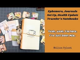 EPHEMERA, JOURNALS, SET UP, HEALTH UPDATE | TRAVELER'S NOTEBOOK