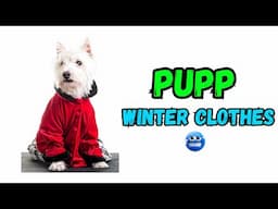 Winter Wardrobe Essentials for Your Puppy