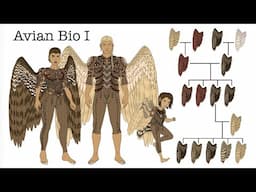 Worldbuilding | Avian-Human Biology pt 1: Introduction to Qyaalyon and a few revisions