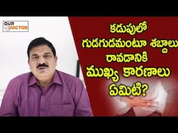 తరచూ కడుపు లో శబ్దాలు రావడానికి ముఖ్య కారణాలు ఏమిటి?| Dr. B.Ravi Shankar Gastroenterology Our Doctor