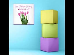 Back to Basics: The Clutter Fairy Reviews Organizing Fundamentals - The Clutter Fairy Weekly #240