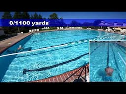 Shinji's 1100-Yard (1,000m) Butterfly Challenge