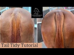 TAIL TIDY TUTORIAL | for the pulled look, without the pain