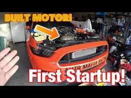 First Start of my Built Motor Ecoboost Mustang!