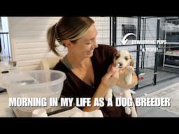 MORNING IN MY LIFE AS A DOG BREEDER | DEWORMING, WEANING PUPS, & MORE