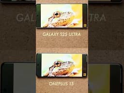 OnePlus 13 vs Galaxy S25 Ultra - Choose Wisely! #samsung #oneplus