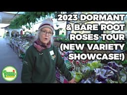 New 2023 Bare Root Roses And My Favorite Varieties - Green Thumb Nursery Tour