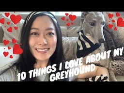 10 THINGS I LOVE ABOUT MY GREYHOUND