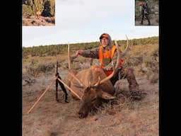 26 years to hunt Colorado - Big Bull down