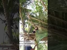 Survival treehouse #survival #primitivetechnology  #bushcraft #islandsurvival full vid on channel