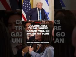 Collins asks Trump where Gazans would go under his plan