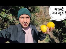 घर में ताजे रसीले फलों का जूस निकाल दिया || Pahadi Lifestyle Vlog || Cool Pahadi