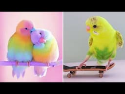 Smart And Funny Parrots Parrot Talking Videos Compilation (2024) - Cute Birds #73