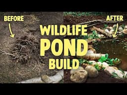 How to build a wildlife pond (Step-by-step guide for a nature-friendly garden)