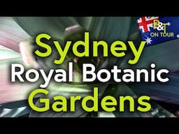 Royal Botanic Garden Sydney Australia - Pots & Trowels