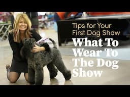 What to Wear at a Dog Show - Tips for Your First Dog Show