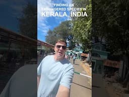 Finding An Endangered Species in Kerala, India 🇮🇳