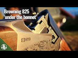 Browning 825: a peek under the bonnet