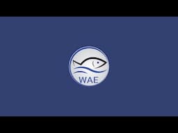 WAEofFishing is live!