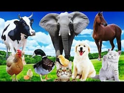 Amazing Wild Animal Sounds: Horse, Cow, Duck, Dog, Hen, Cat, Elephant, Animal Moments