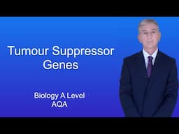 A Level Biology Revision (Year 13) "Tumour Suppressor Genes and Abnormal DNA methylation"