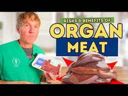 Should You Feed Your Dog Organ Meat? Pros and Cons from a Vet!