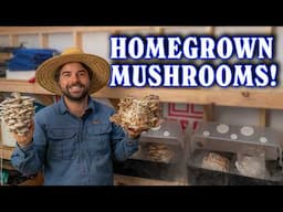 How To Grow Gourmet Mushrooms at Home | Start To Finish!