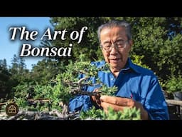 Welcome to Bonsai Heirloom! | Beginner Bonsai Tutorials & More