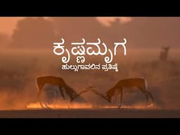 ಕೃಷ್ಣಮೃಗ: ಹುಲ್ಲುಗಾವಲಿನ ಪ್ರತಿಷ್ಠೆ: Blackbucks of the Grasslands | @RoundglassSustain