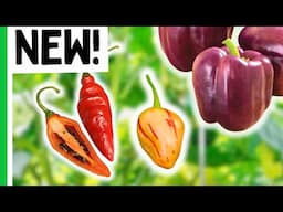 7 Pepper Varieties We CAN'T WAIT to Grow in 2025