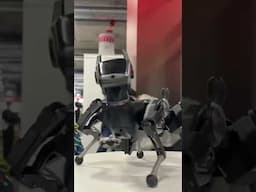 This Mini Robot Dog is so Life Like at CES 2025. Full video on KhanFlicks