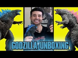 Godzilla Ichibansho Unboxing / Comparison - Godzilla 2024 & Godzilla Evolved from Godzilla x Kong